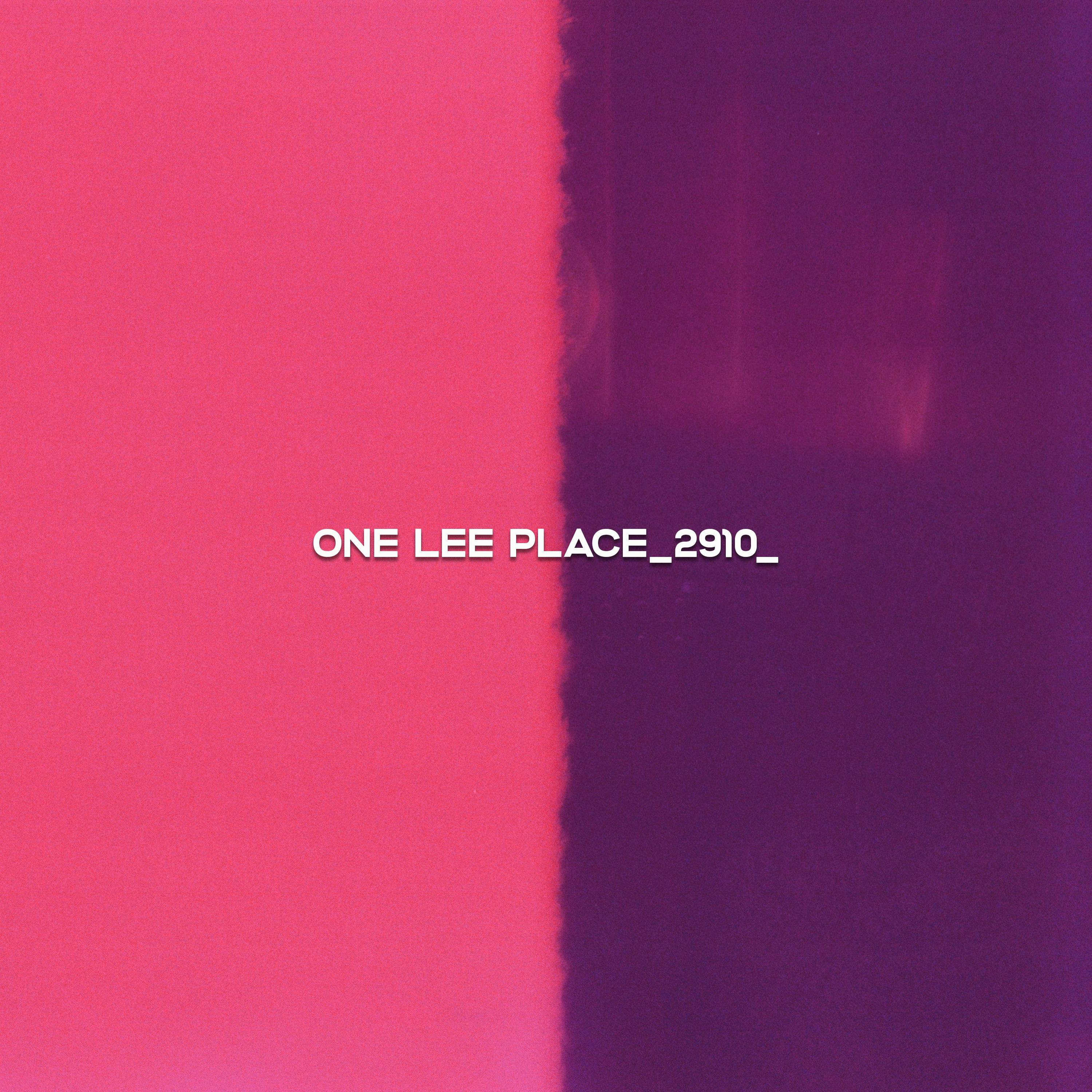 One Lee Place 2910 feat OMGKirbyDAO & Channel Tres
