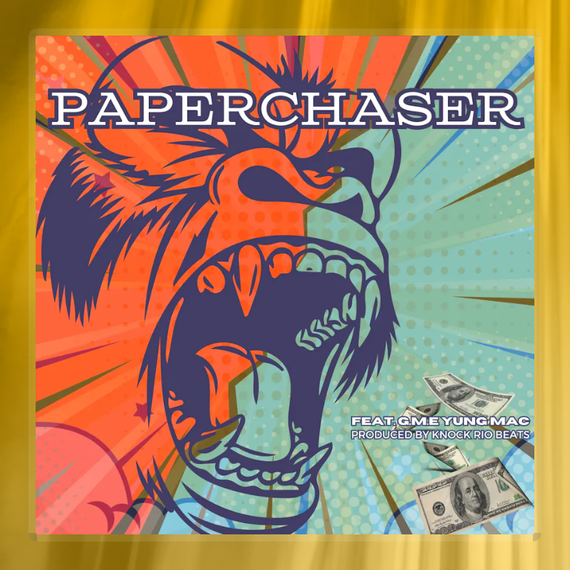PaperChaser