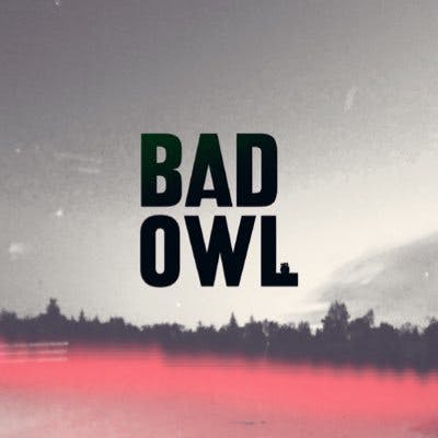 BAD OWL