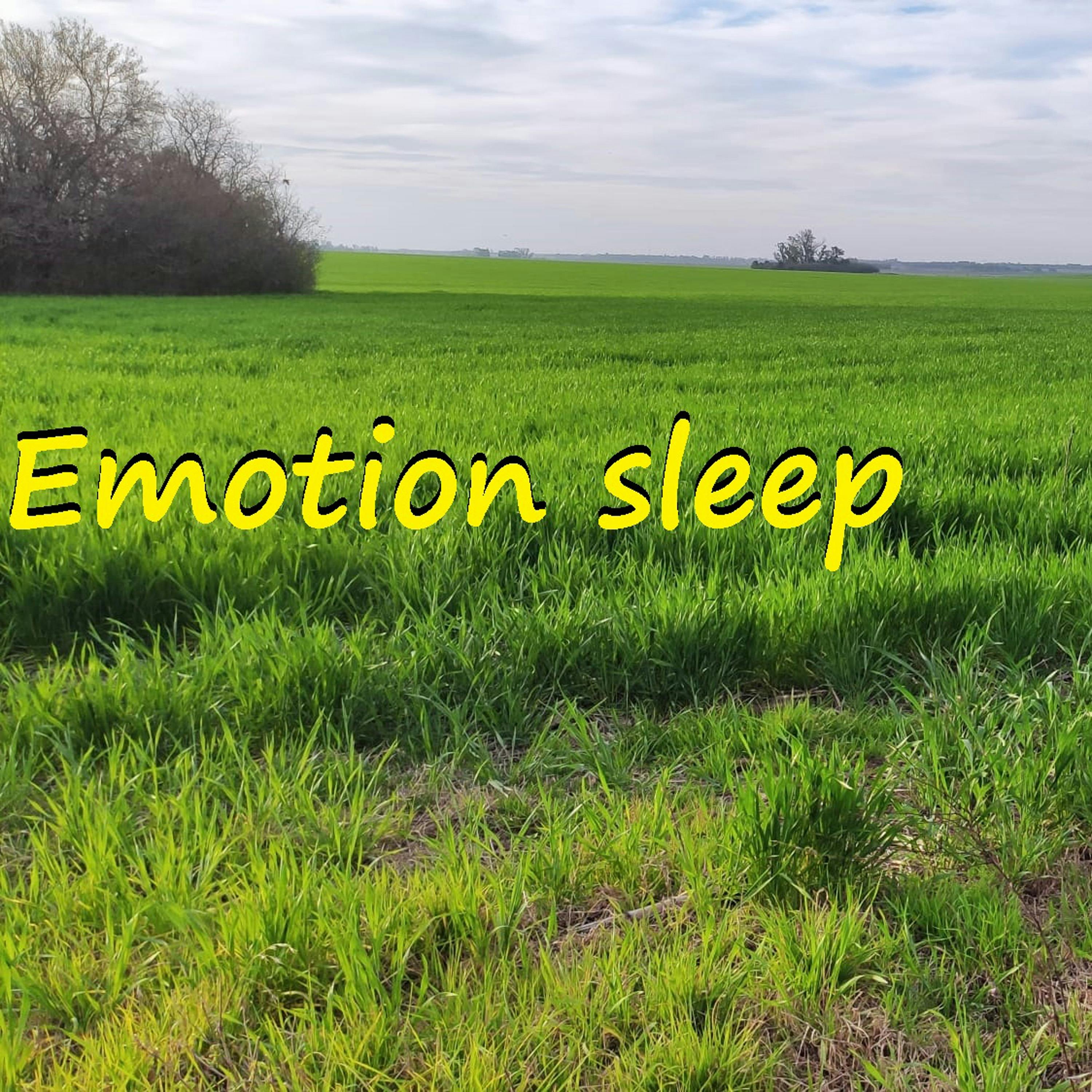 Emotion Sleep