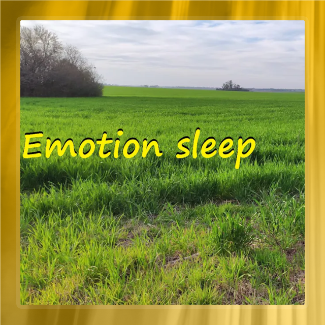 Emotion Sleep