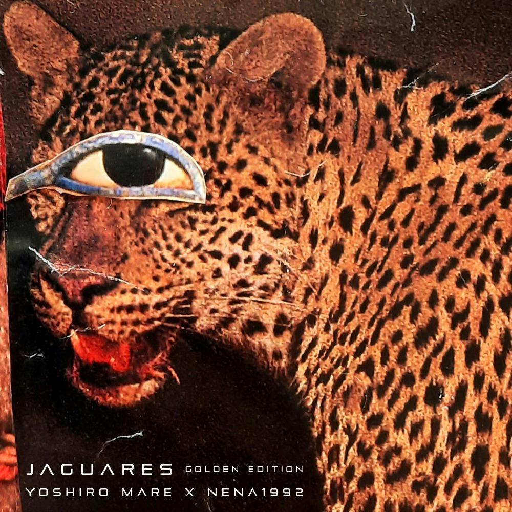 Jaguares ft. Nena1992