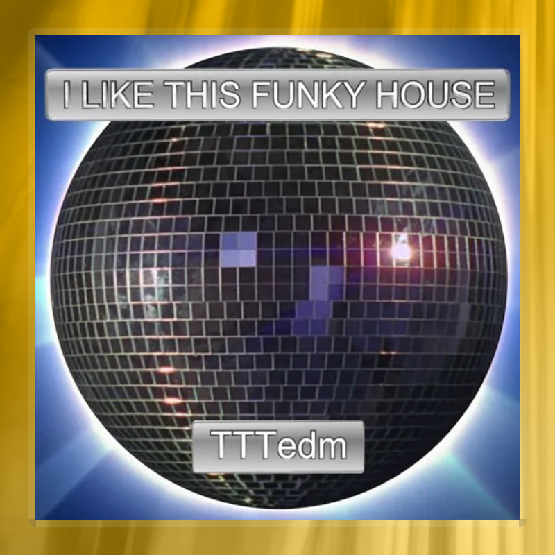 I Like This Funky House