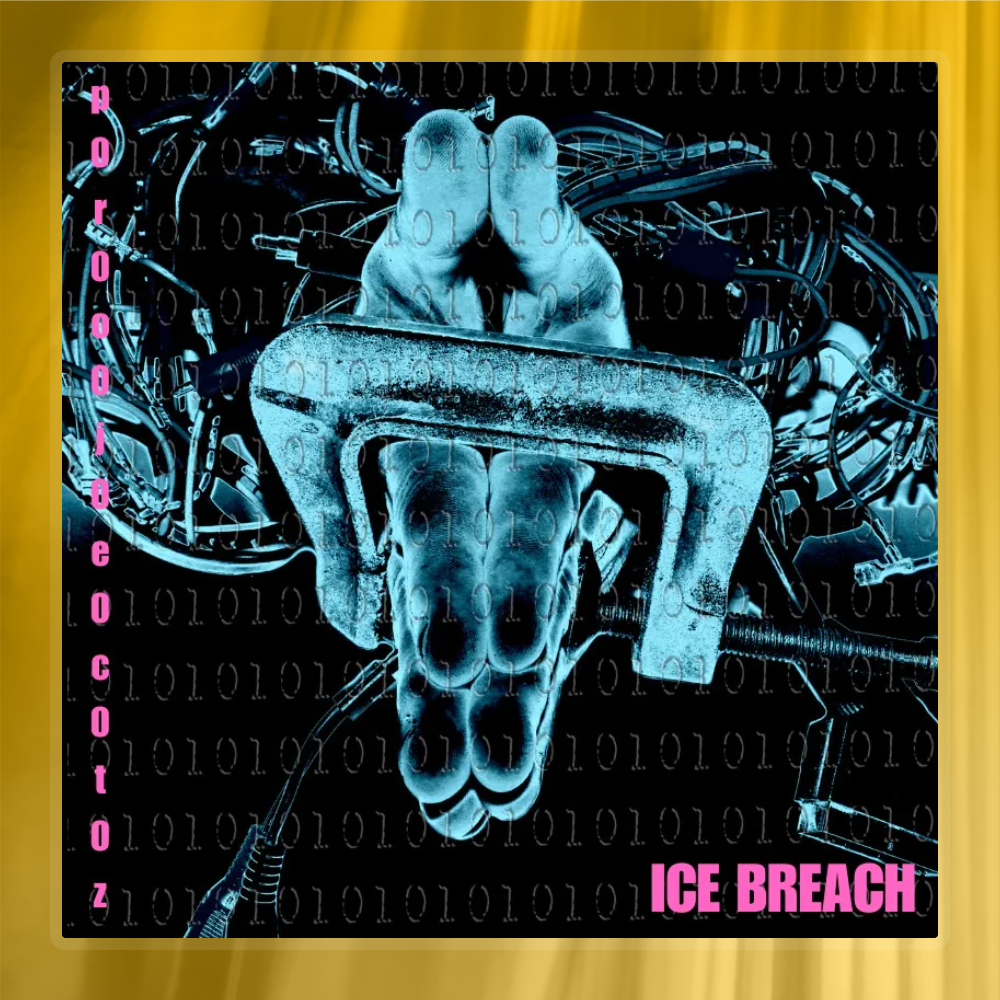 ICE Breach