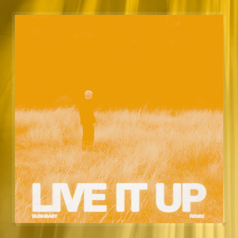 LIVE IT UP (Bushbaby Remix)