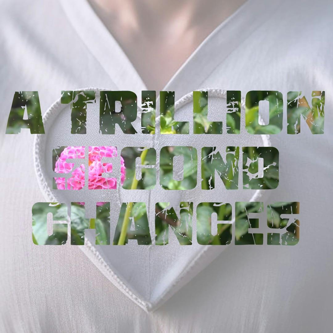 A Trillion Second Chances