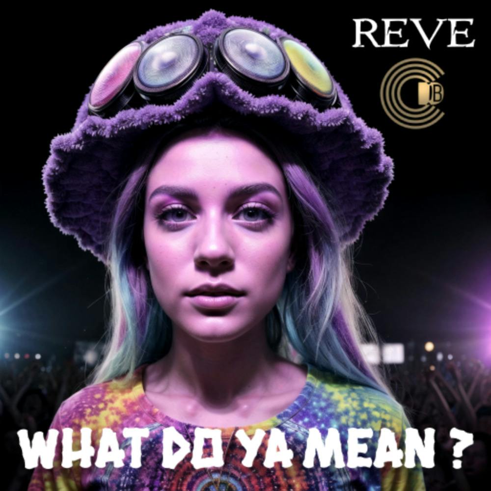 What Do Ya Mean ? - ReveDnB X CDB