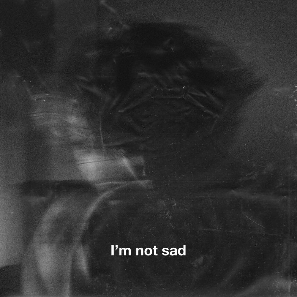 I'm Not Sad (Instrumental)
