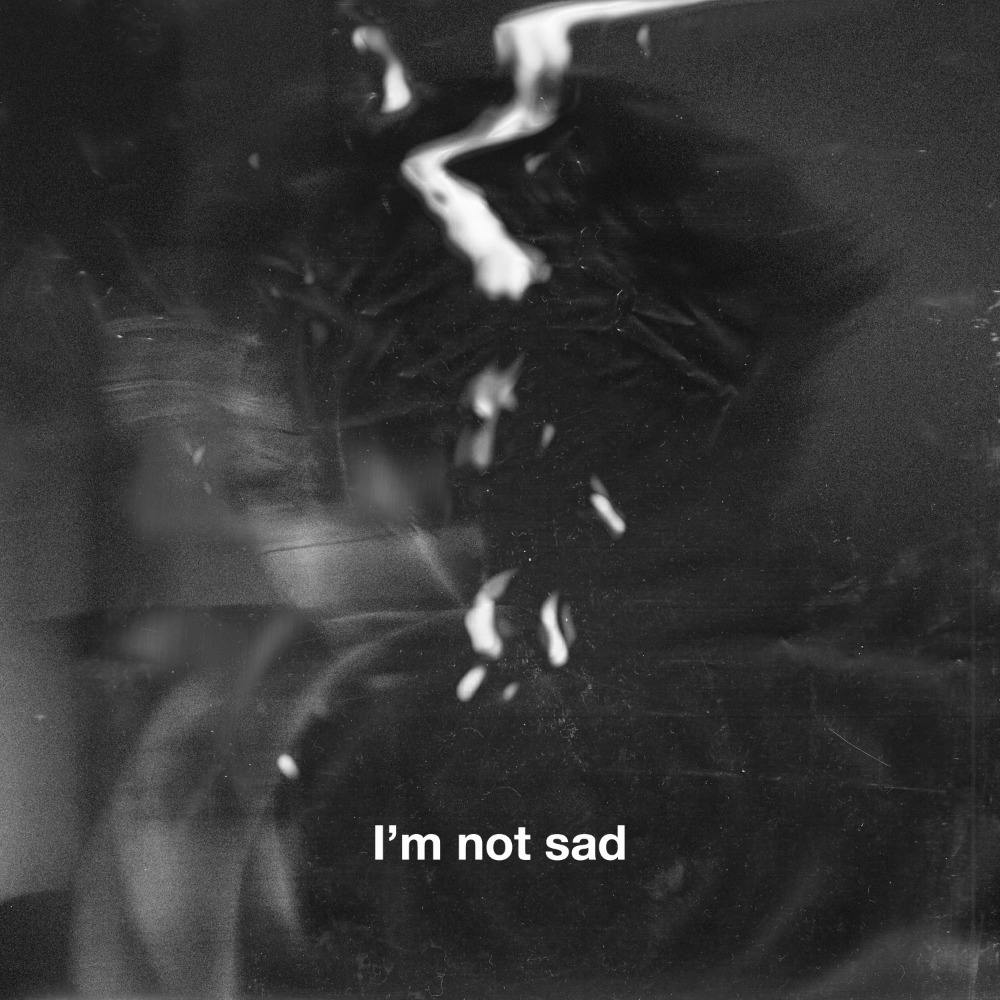 I'm Not Sad (Instrumental)